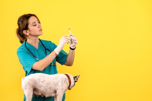 Veterinária aplicando injeção em cão de pequeno porte